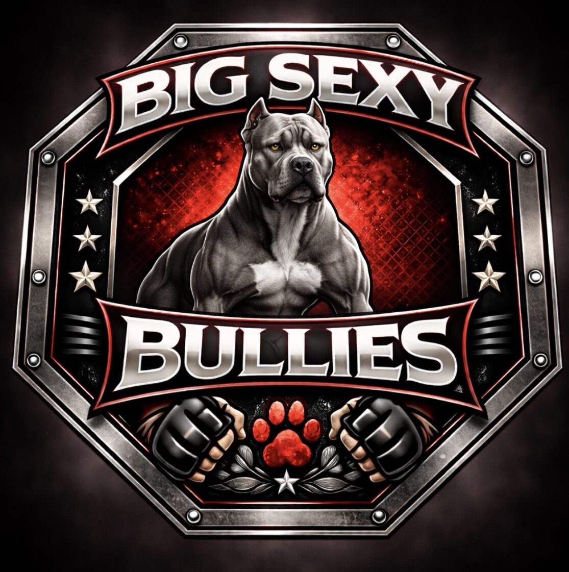 Big Sexy Bullies Logo